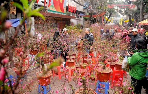 ảnh bài viết