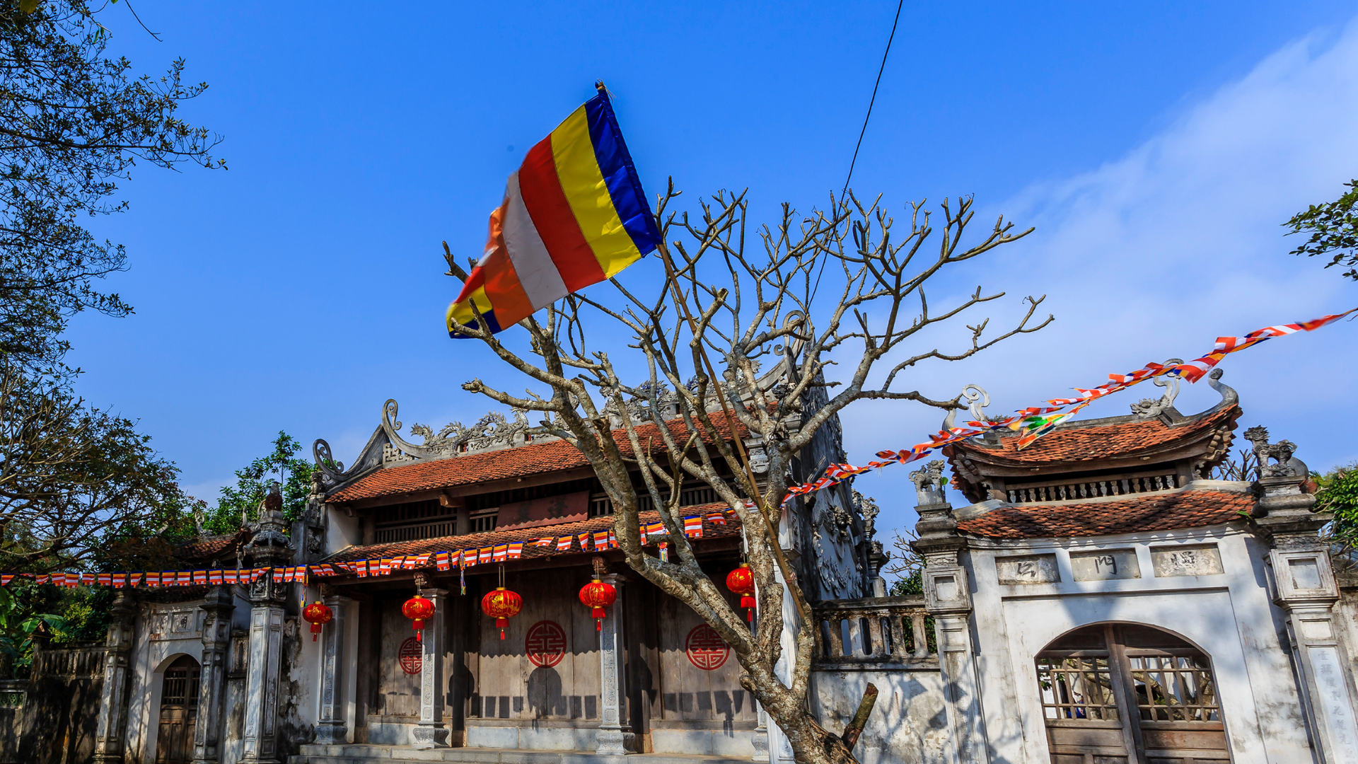 Sản phẩm chất lượng 123